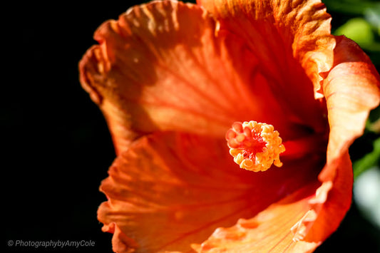 The Health Benefits of Self-Love: Why Pleasure is Good for Your Body & Mind